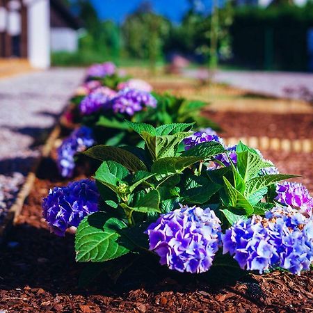 Apartamenty Wiatr I Woda Mikołajki Esterno foto