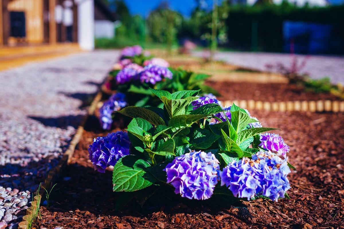 Apartamenty Wiatr I Woda Mikołajki Esterno foto